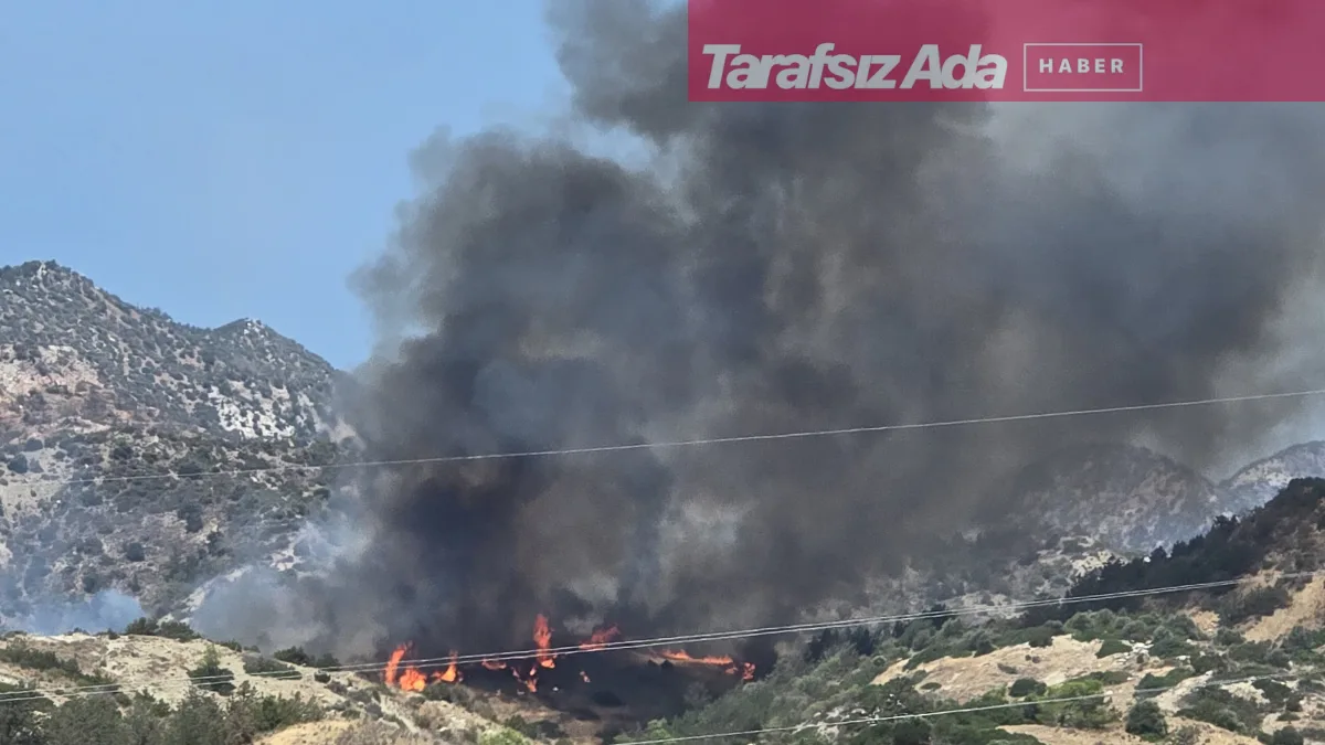 Yamaçköy-Tirmen köyleri arasındaki yangın kontrol altında